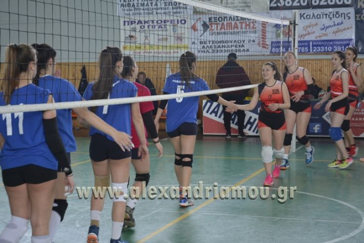 volley _1ogel-kassandra009